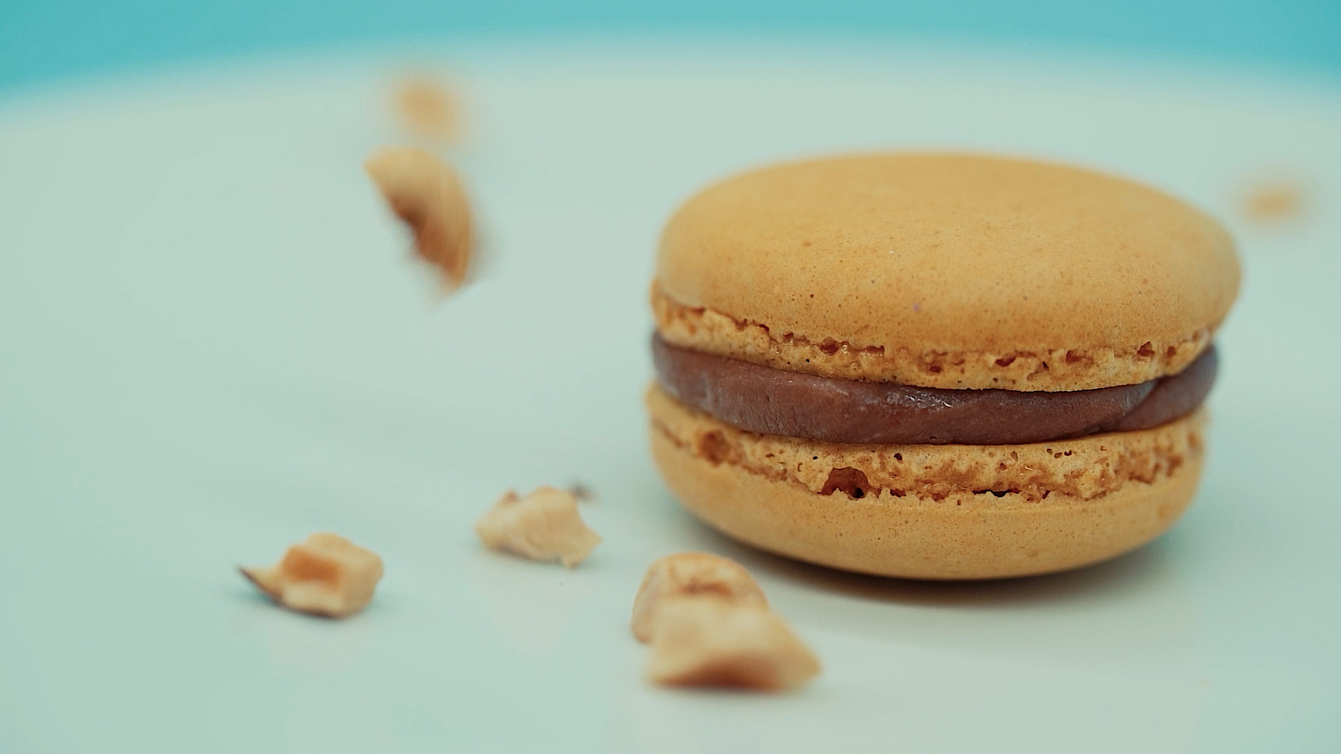 backstage macarons 2